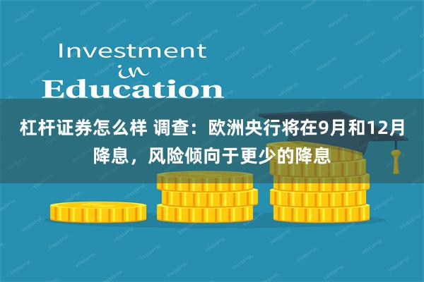 杠杆证券怎么样 调查：欧洲央行将在9月和12月降息，风险倾向于更少的降息