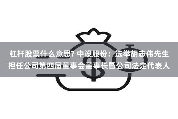 杠杆股票什么意思? 中设股份：选举胡志伟先生担任公司第四届董
