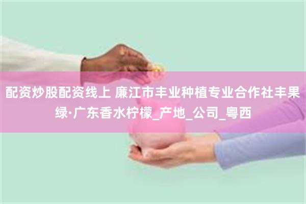 配资炒股配资线上 廉江市丰业种植专业合作社丰果绿·广东香水柠