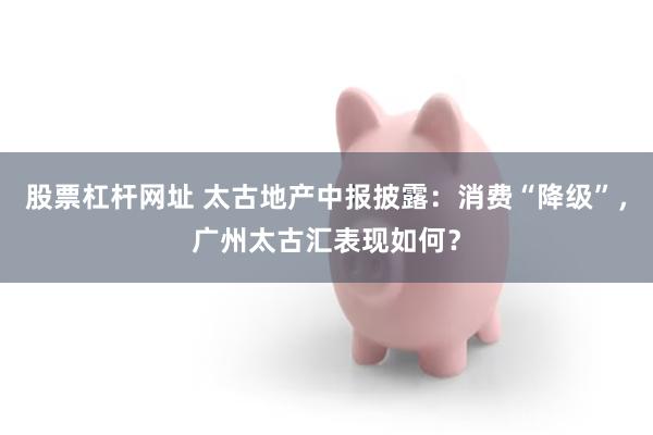 股票杠杆网址 太古地产中报披露：消费“降级”，广州太古汇表现
